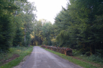 Affouage foret de la...