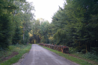 Affouage foret de la...