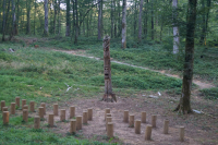 totem foret de la menere